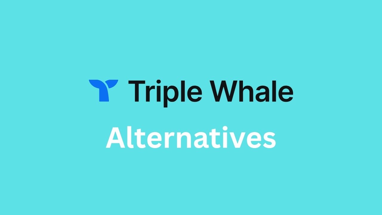 Triple Whale Alternatives